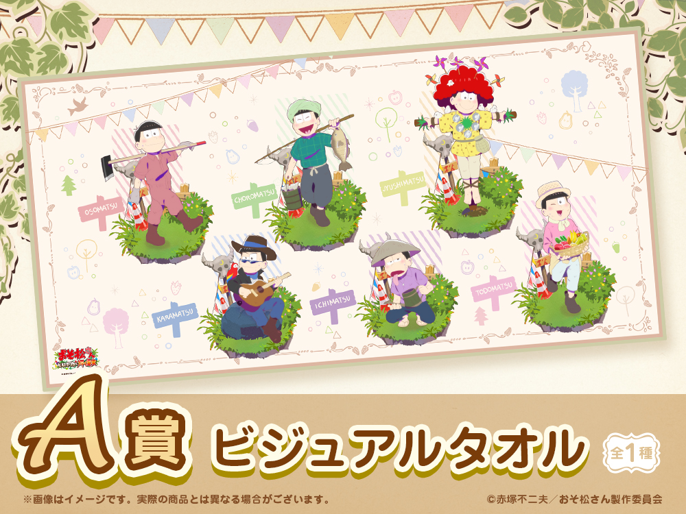 ビジュアルタオルの画像