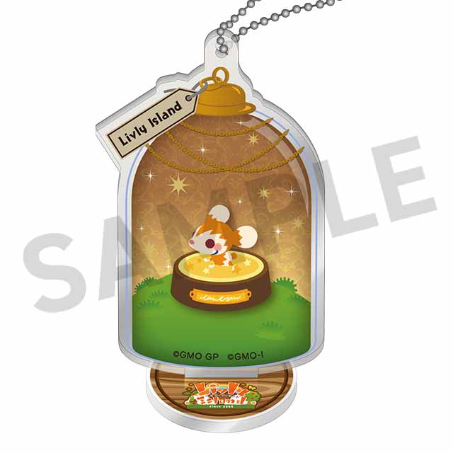 プリミティブピグミーの画像