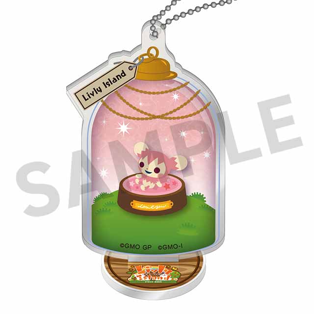 ネオピグミーの画像