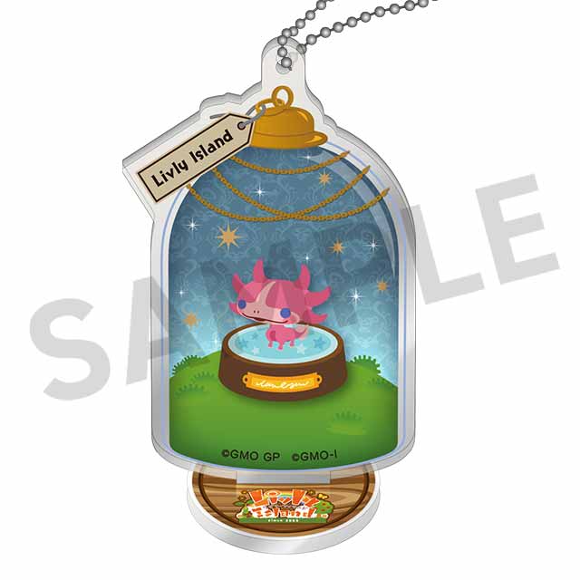 ツノナデシの画像