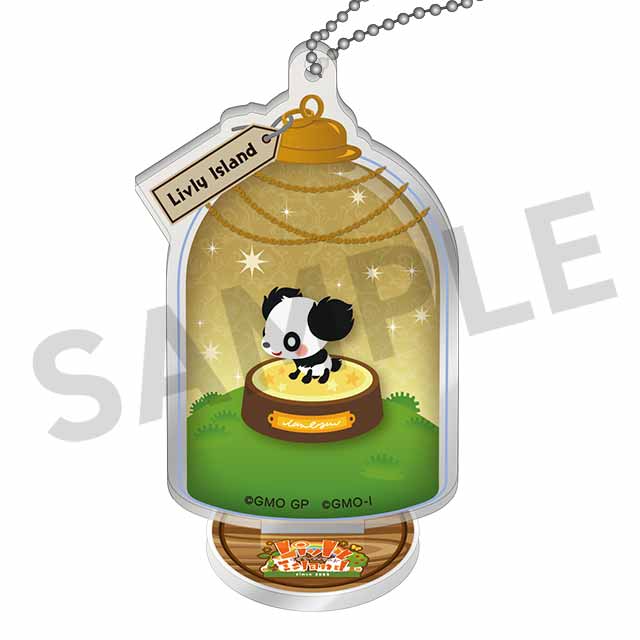 プリミティブクンパの画像