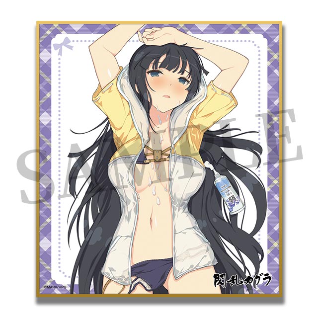 第1弾/斑鳩の画像