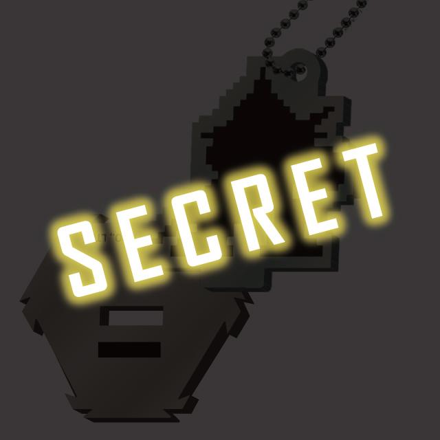 SECRET1の画像