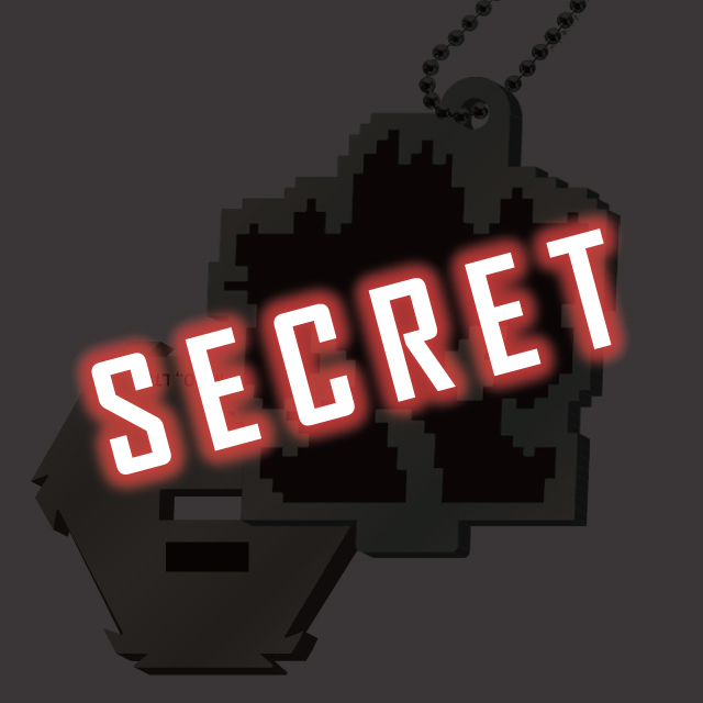 SECRET2の画像