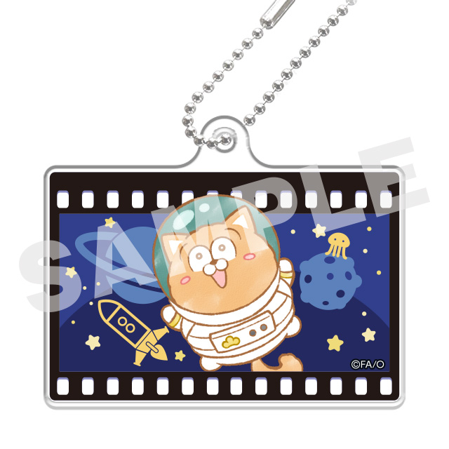 ポメラニアンの画像