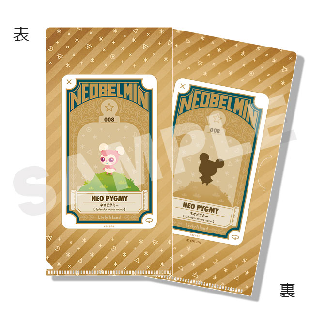 ネオピグミーの画像