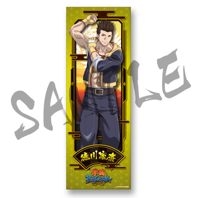 徳川家康の画像