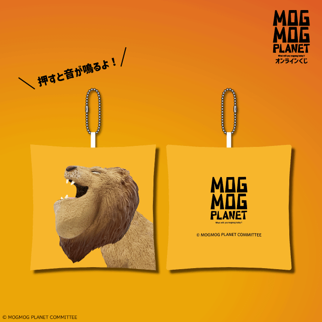 ライオンの画像