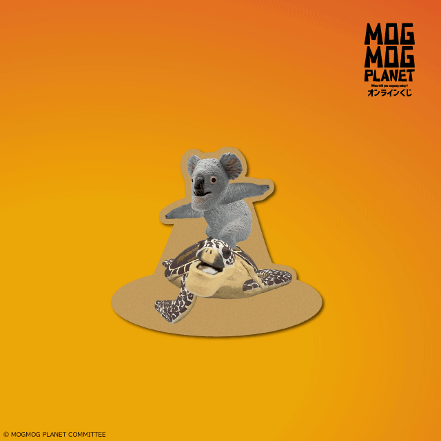 コアラ＆カメの画像