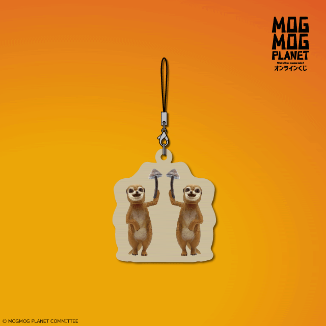 ミーアキャットの画像