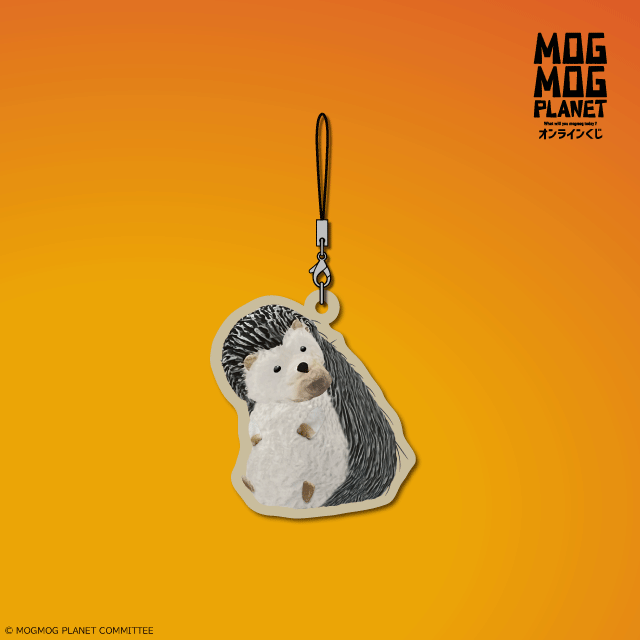 ハリネズミの画像