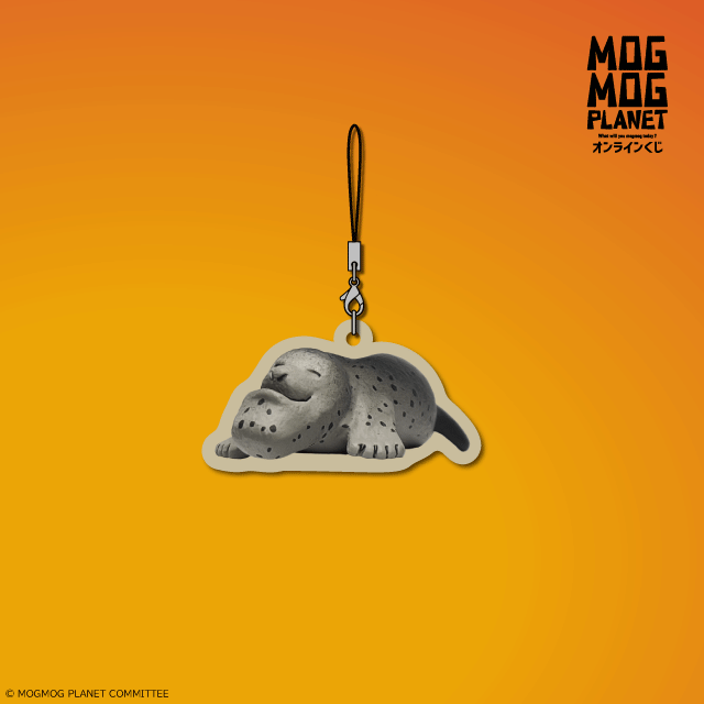 アザラシの画像