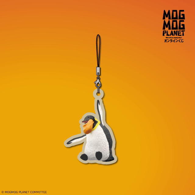 ペンギンの画像