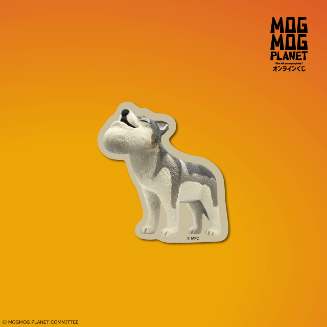 オオカミの画像