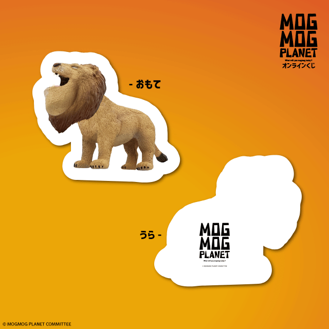 ライオンの画像