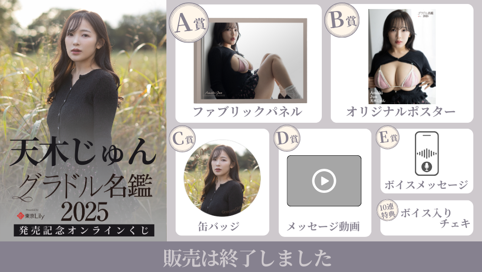 天木じゅん「グラドル名鑑2025」発売記念オンラインくじの画像