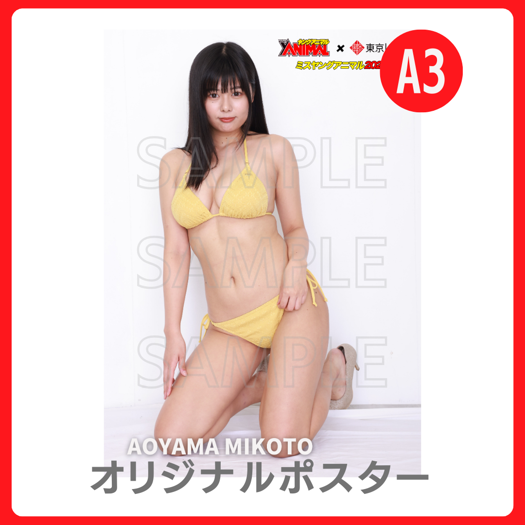 A3オリジナルポスターの画像