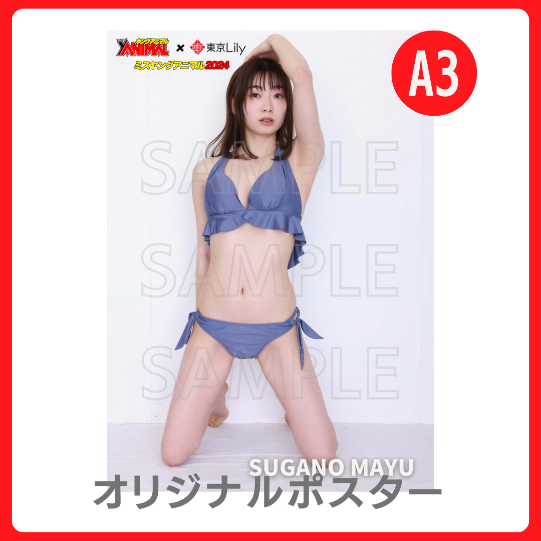 A3オリジナルポスターの画像