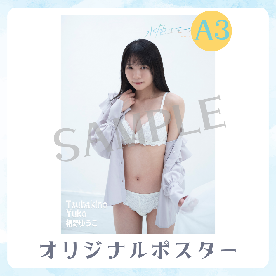 B賞 A3オリジナルポスター