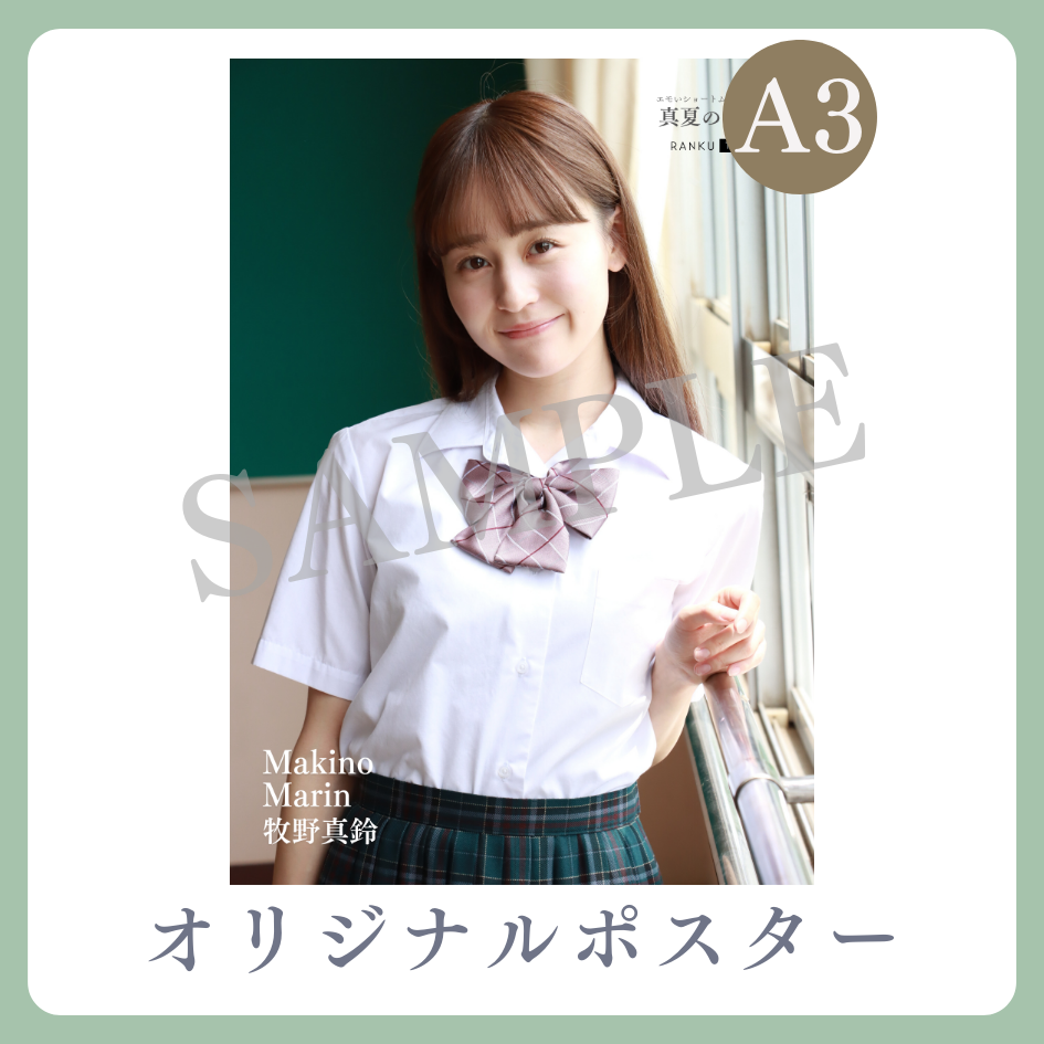 B賞 A3オリジナルポスター