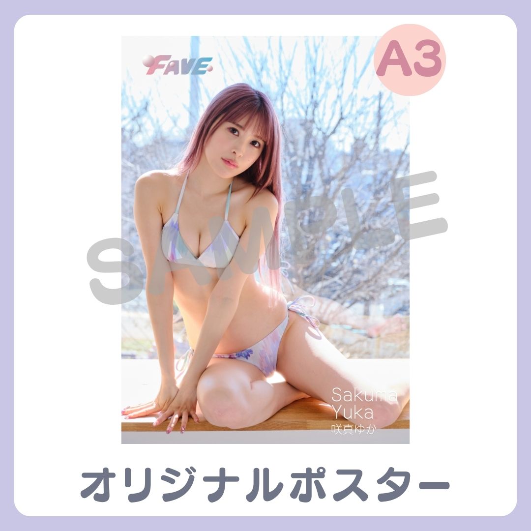 B賞 A3オリジナルポスター