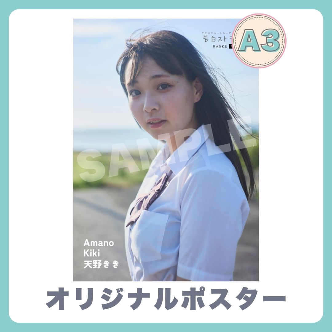 A3オリジナルポスターの画像