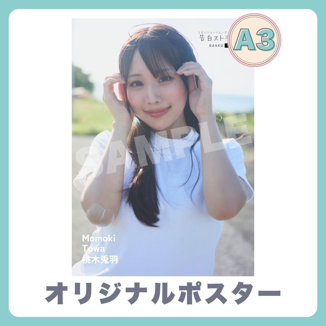 A3オリジナルポスターの画像