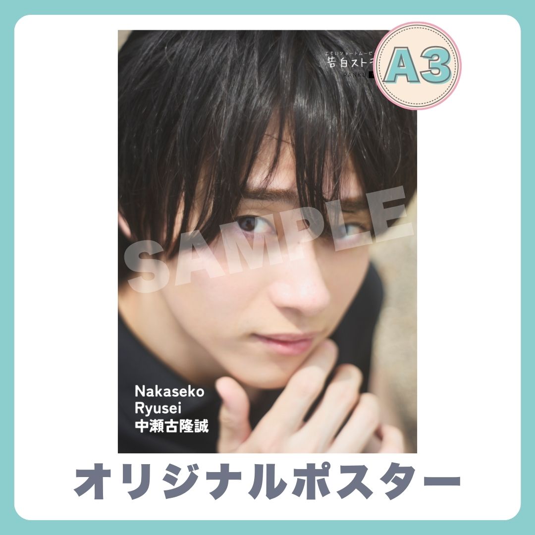 A3オリジナルポスターの画像