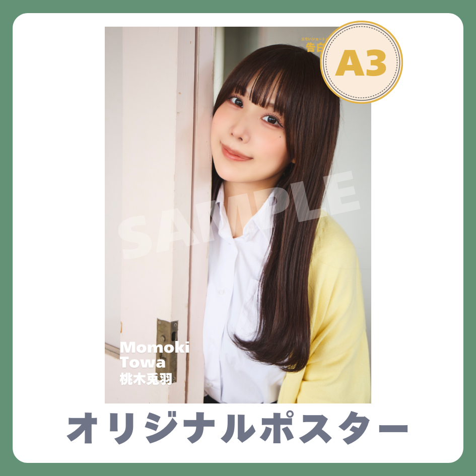 B賞 A3オリジナルポスター
