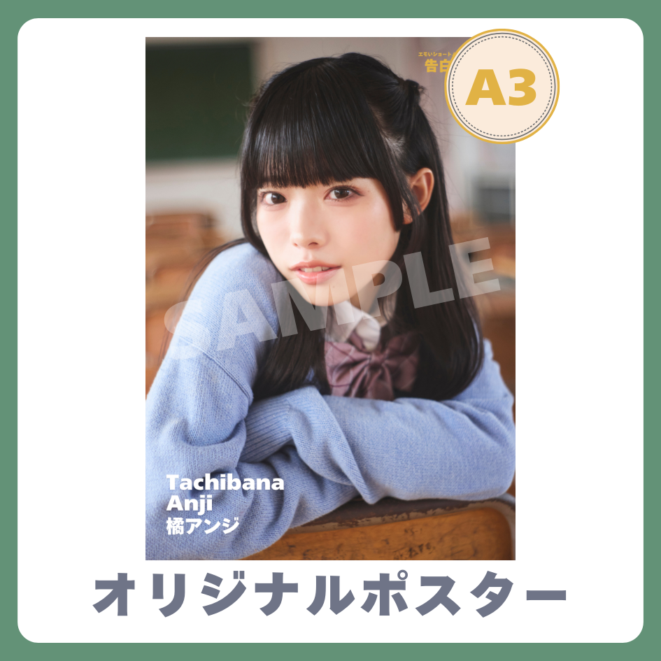 B賞 A3オリジナルポスター