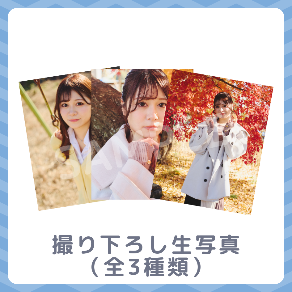 撮り下ろし生写真（全3種類）の画像