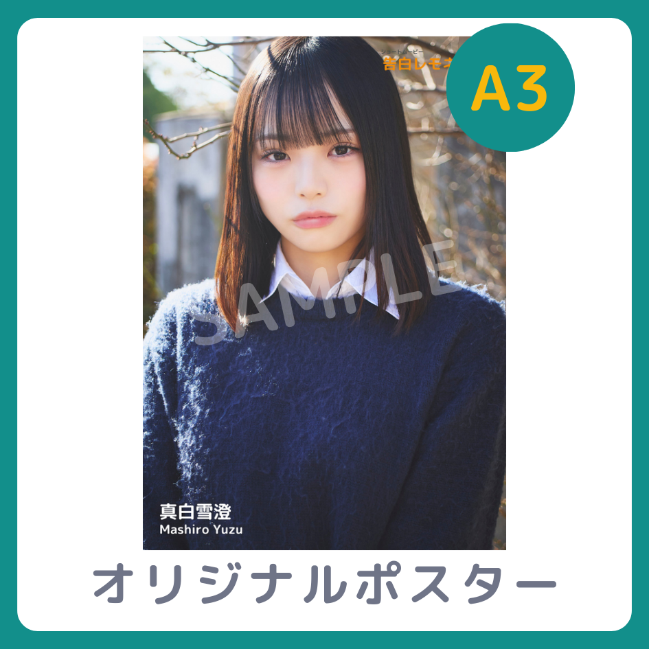 B賞 A3オリジナルポスター