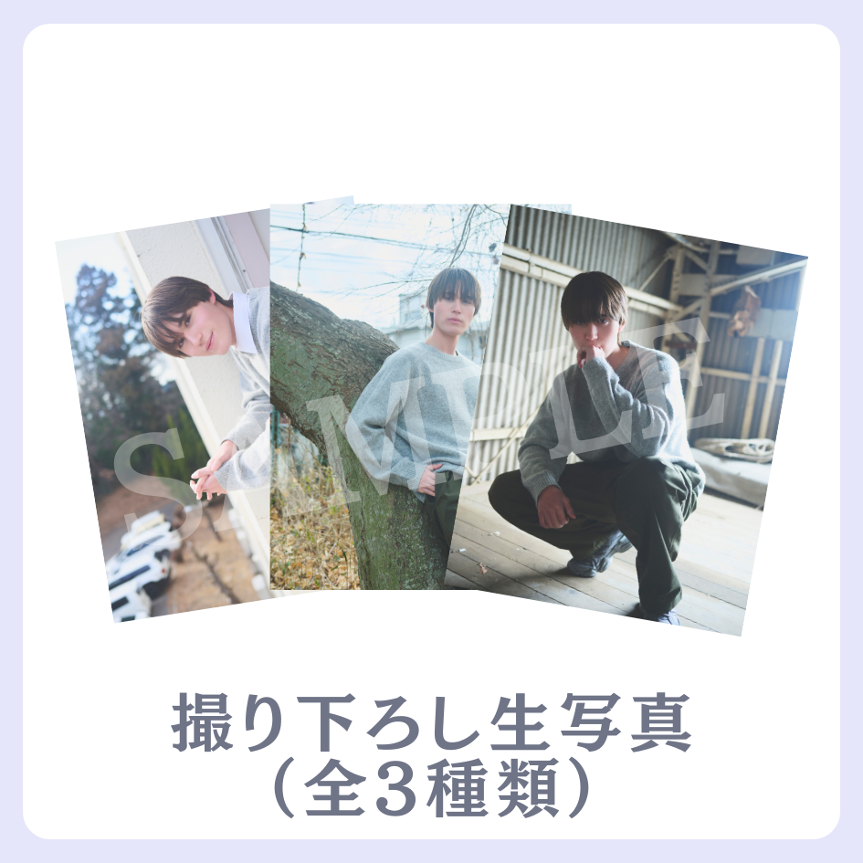 E賞 撮り下ろし生写真(全3種類)(全3種)