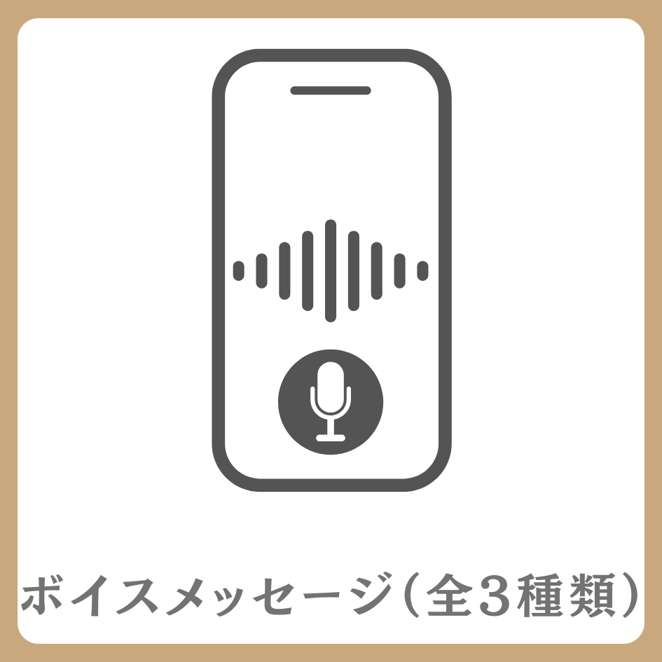 ボイスメッセージ（全3種類）の画像