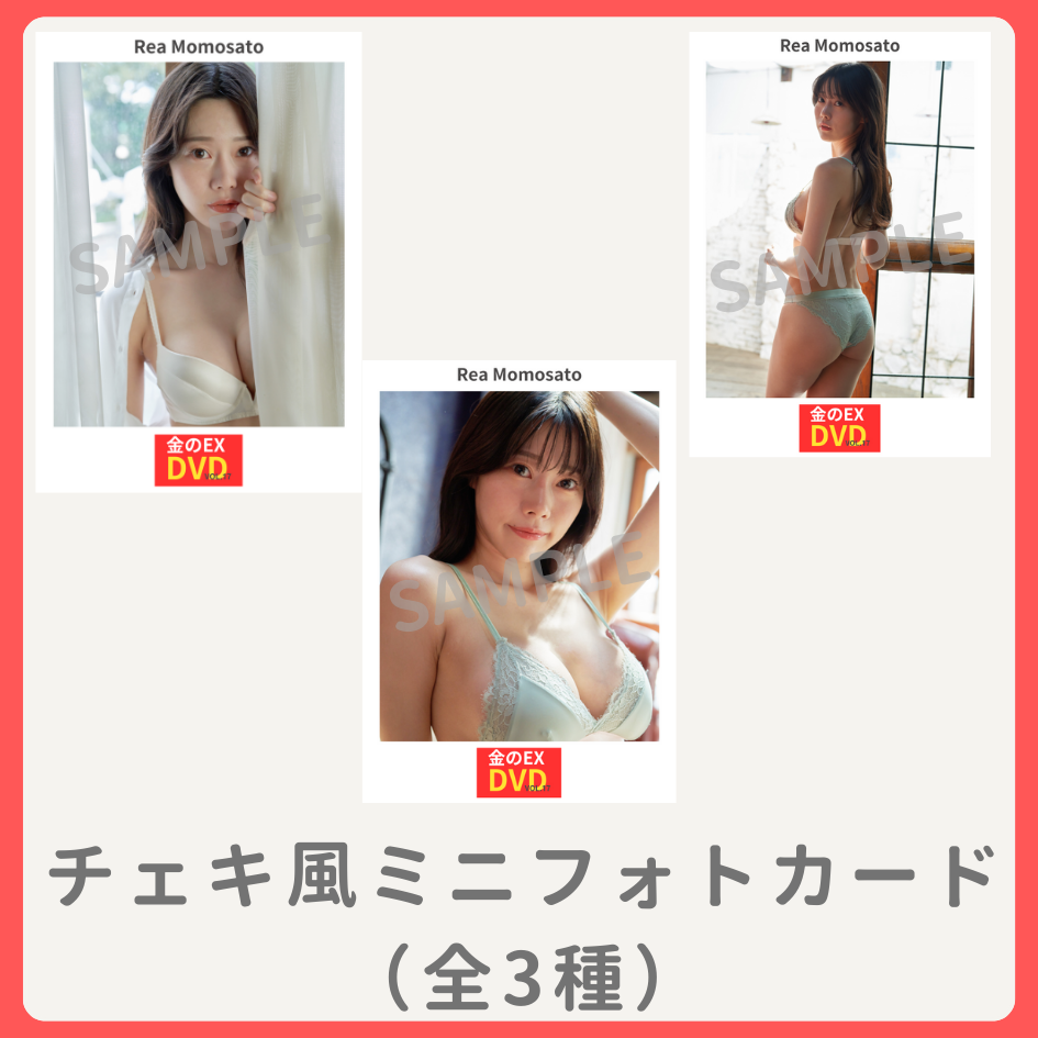 D賞 チェキ風ミニフォトカード(全3種類)(全3種)