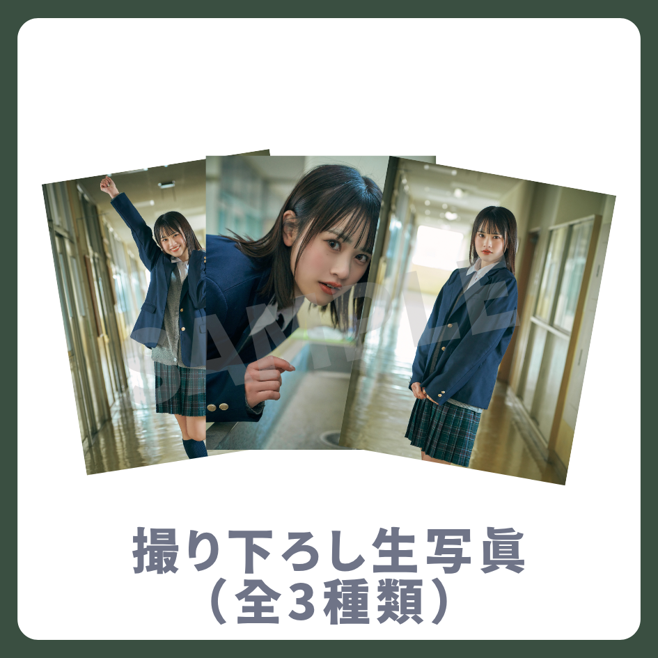 撮り下ろし生写真（全3種類）の画像
