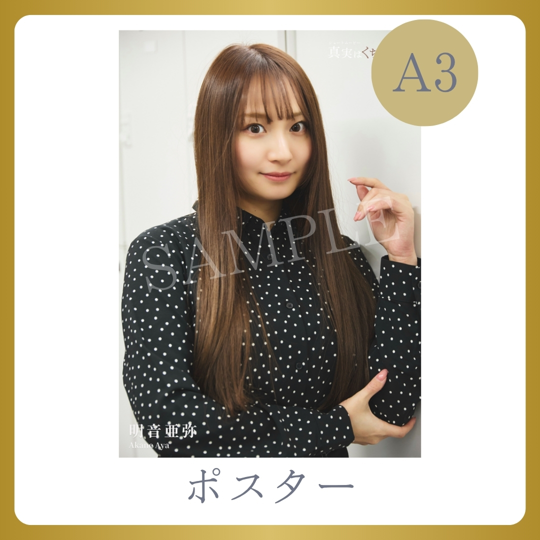 A3オリジナルポスターの画像