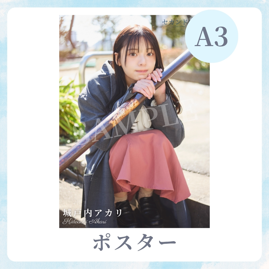 A3オリジナルポスターの画像
