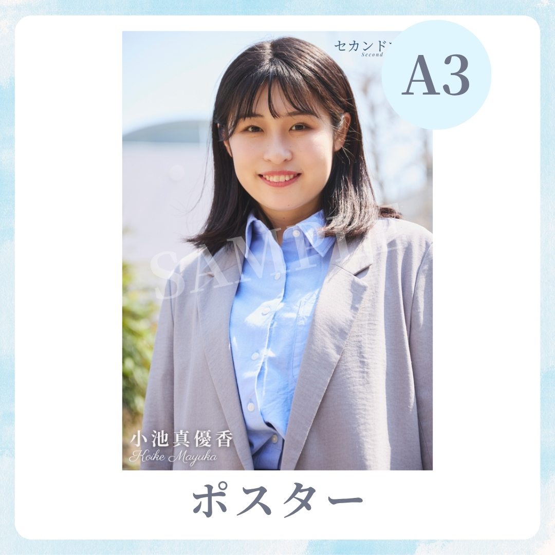 A3オリジナルポスターの画像