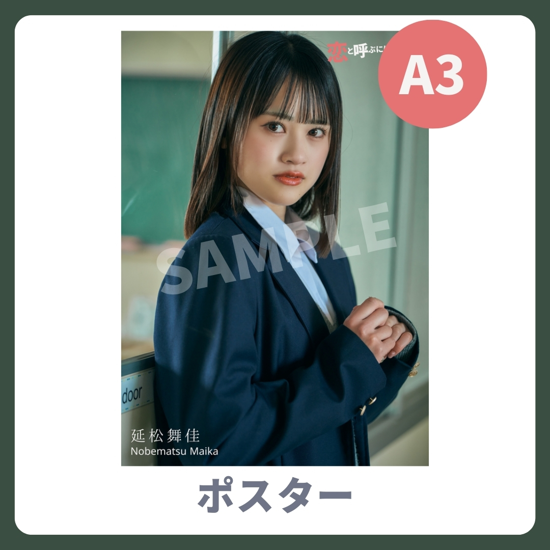 A3オリジナルポスターの画像