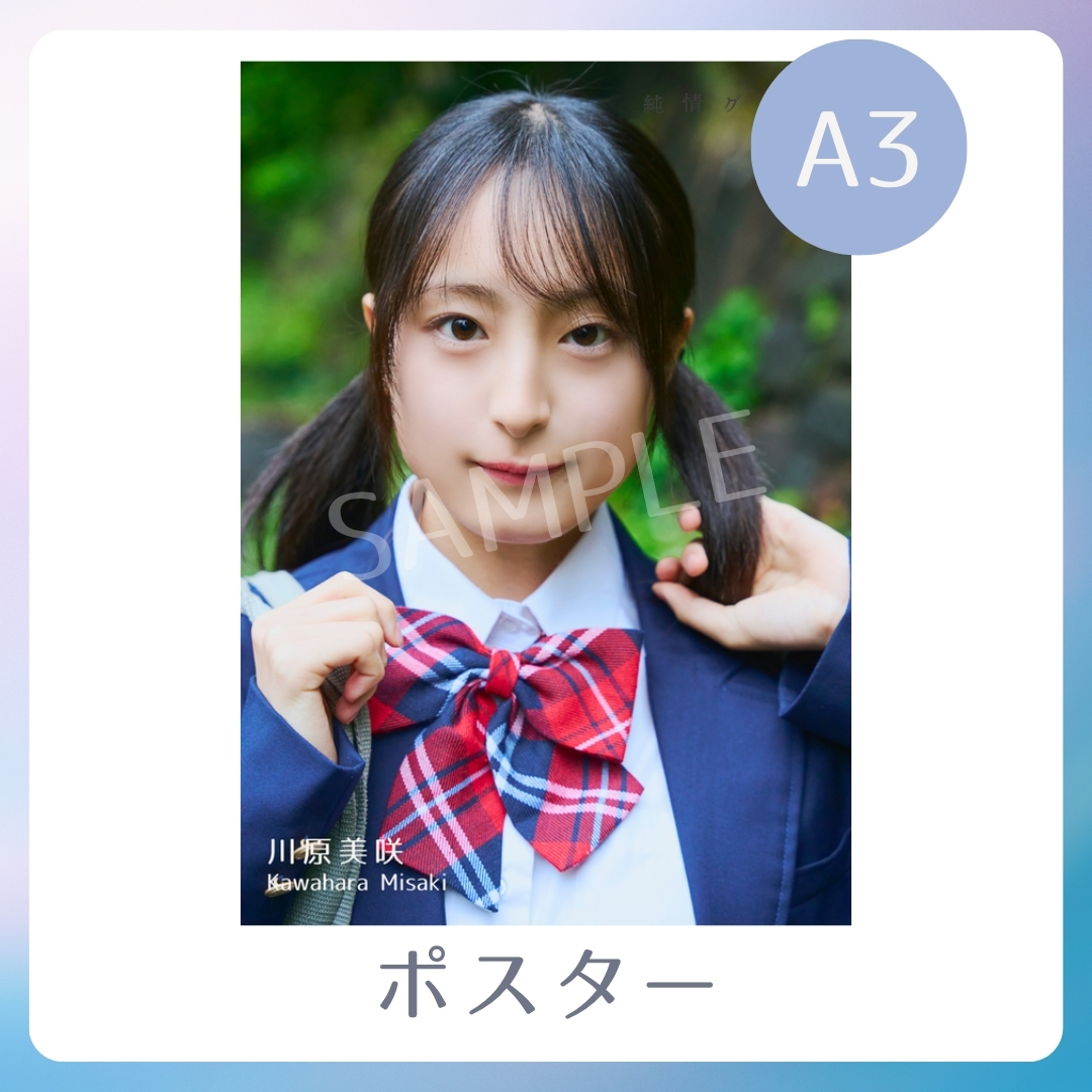 A3オリジナルポスターの画像