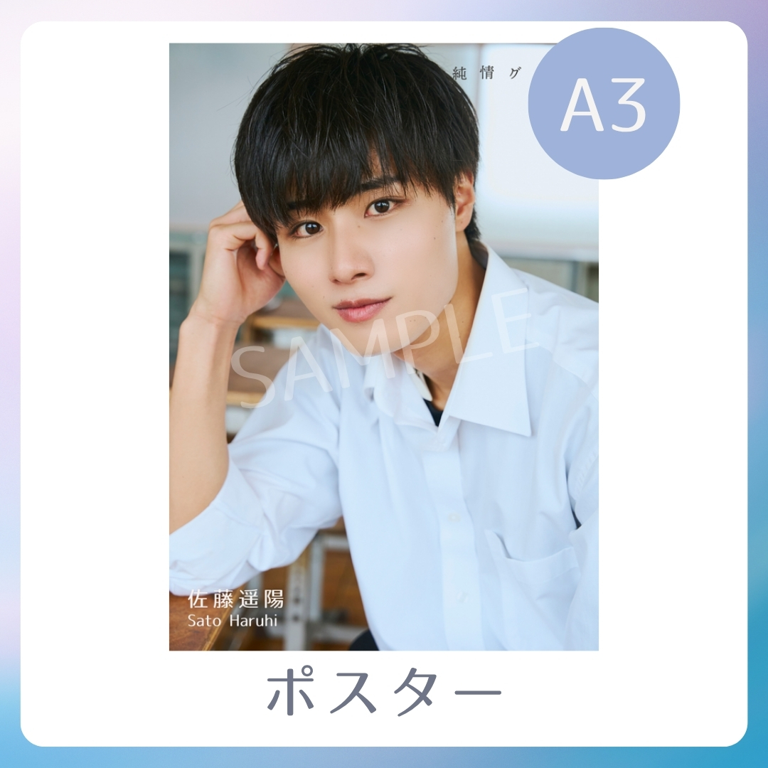 A3オリジナルポスターの画像