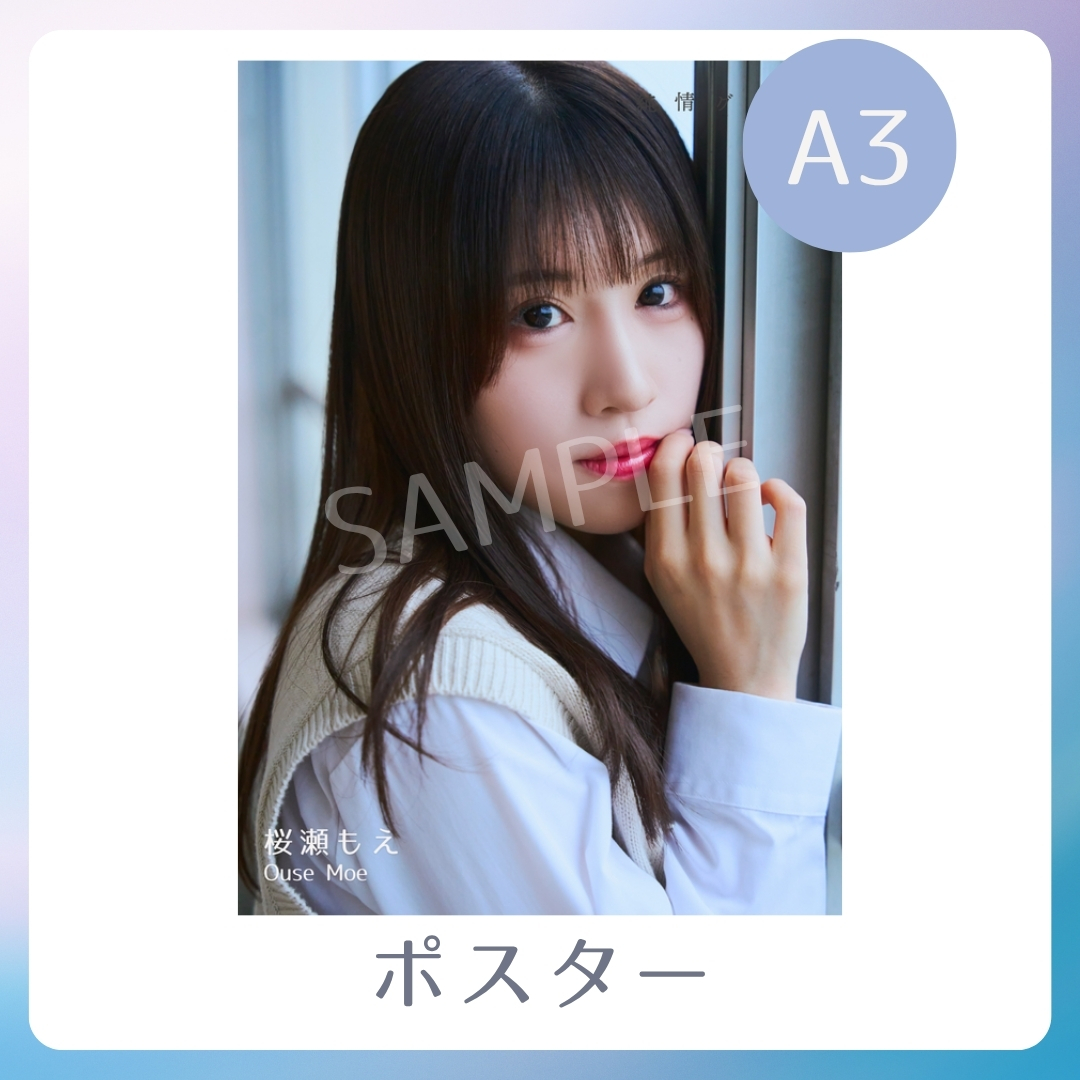 A3オリジナルポスターの画像