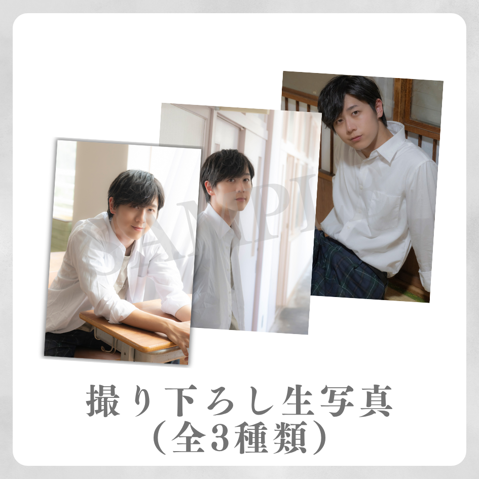 撮り下ろし生写真（全3種類）の画像