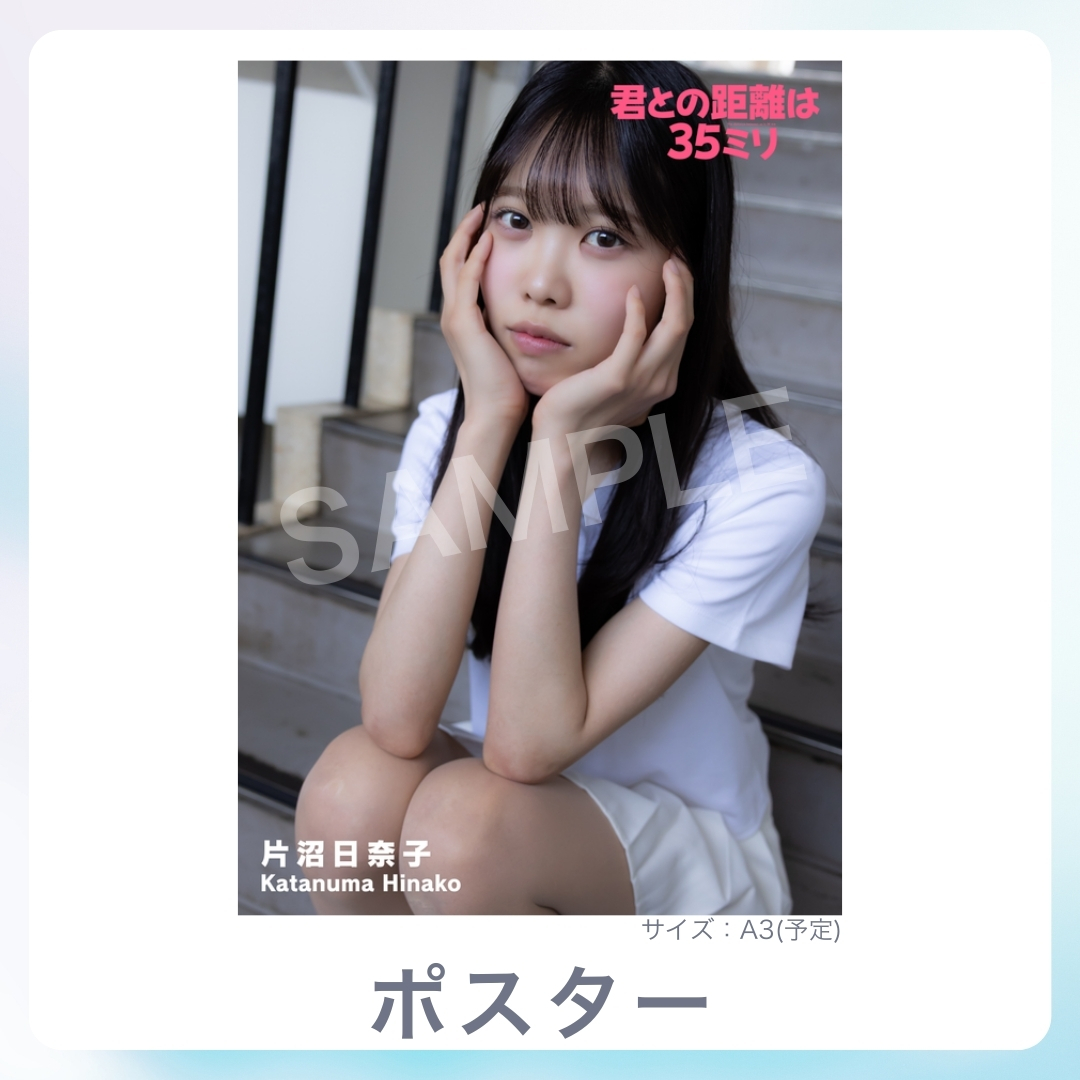 A3オリジナルポスターの画像