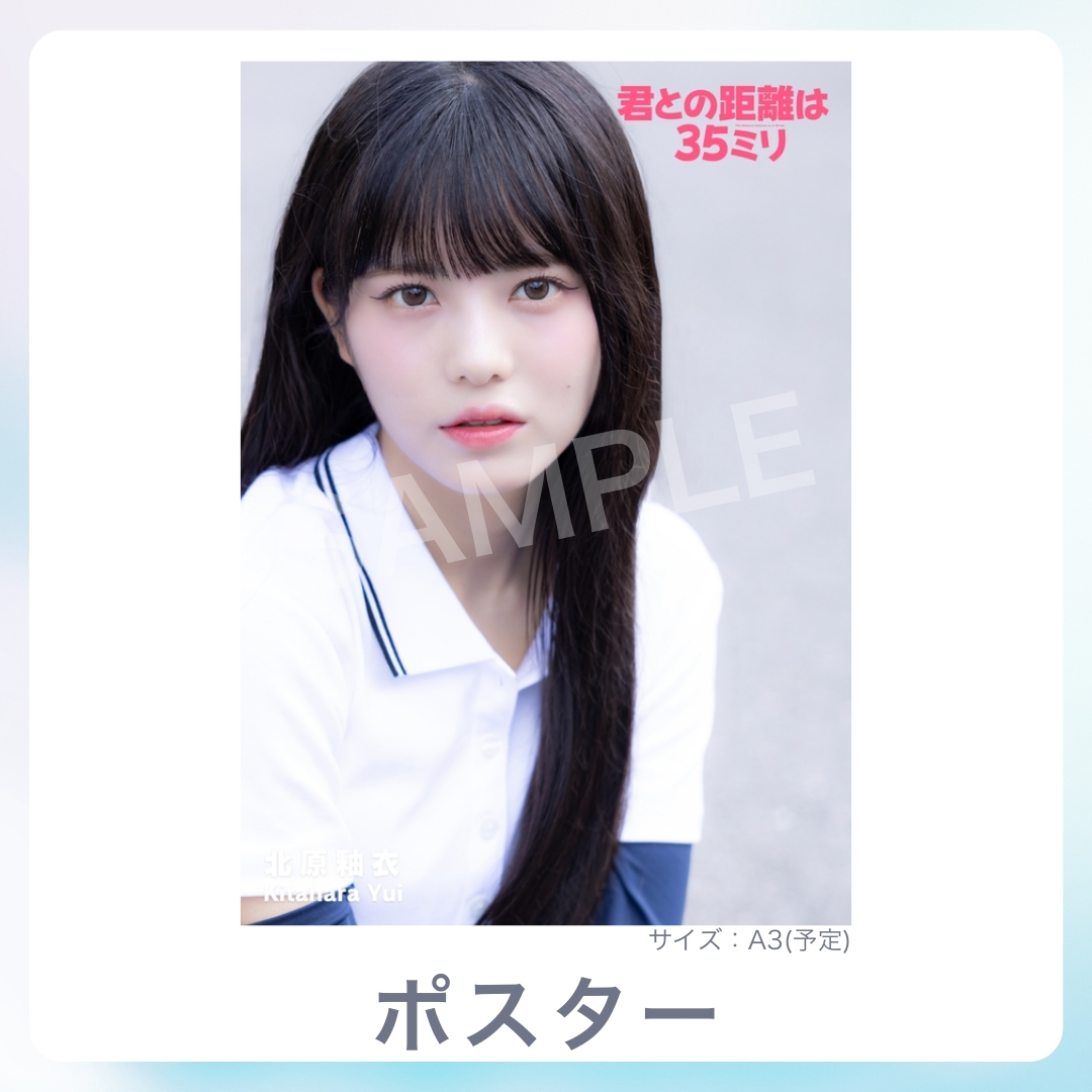 A3オリジナルポスターの画像