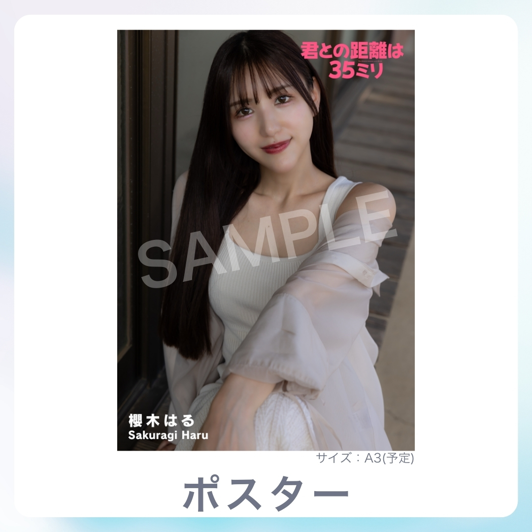 A3オリジナルポスターの画像