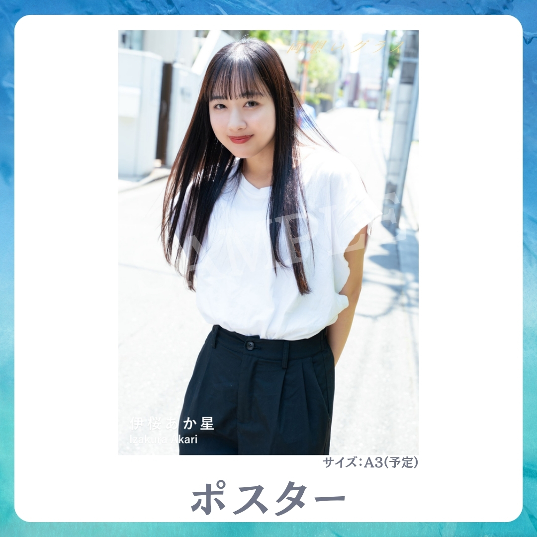 A3オリジナルポスターの画像