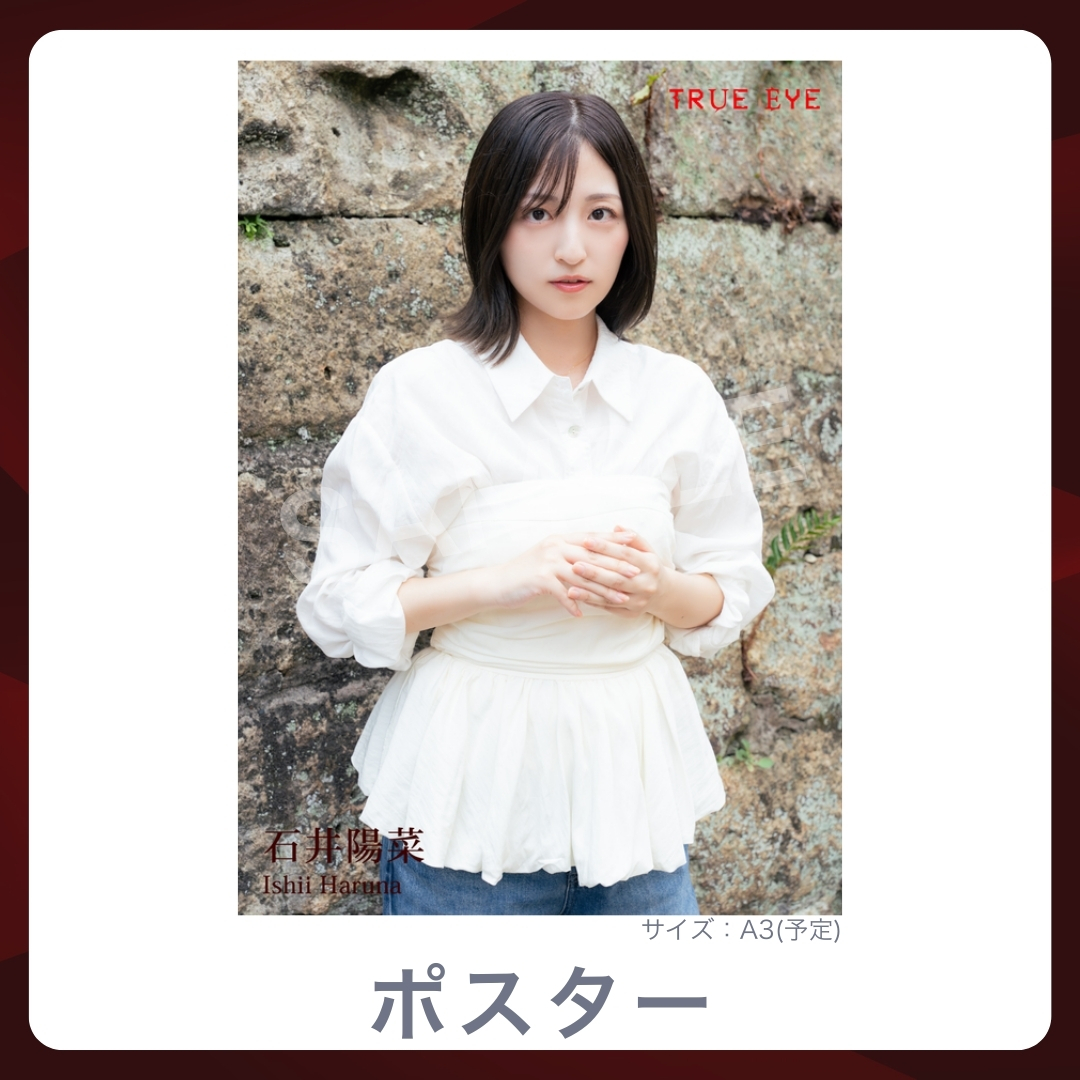 A3オリジナルポスターの画像