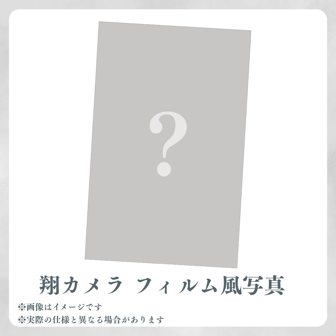 翔カメラフィルム風写真（全1種類）の画像
